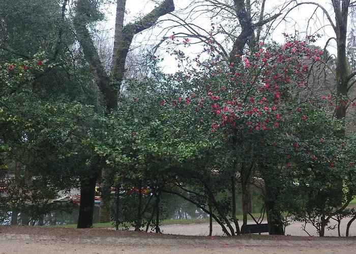 Do Parque فندق 4*